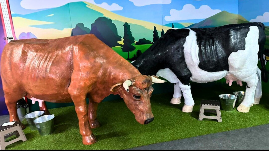 Vacas Gloria